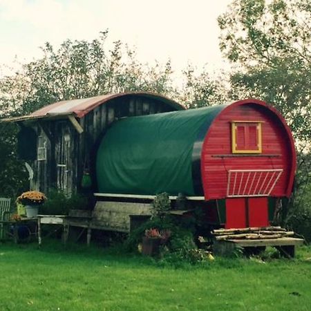 De Oude Nadorst Bed & Breakfast Groningen Dış mekan fotoğraf