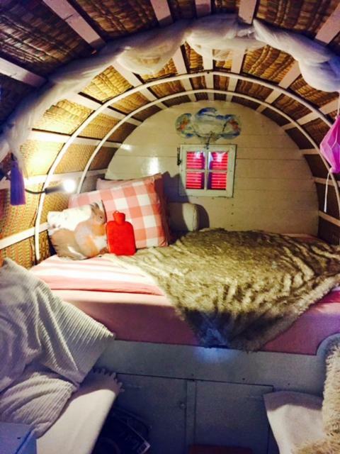 De Oude Nadorst Bed & Breakfast Groningen Dış mekan fotoğraf